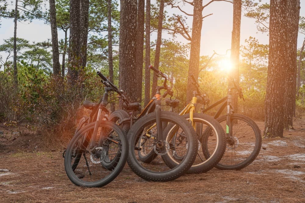 Accommodation Options Along the Porto to Lisbon Cycling Route