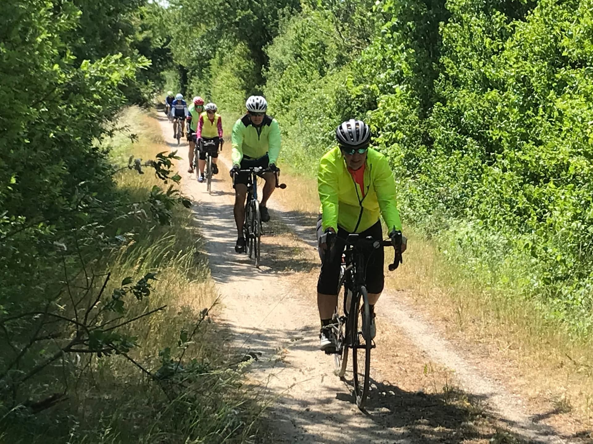 Riders on road and hybrid bikes on a Best European Bike Tours guided tour