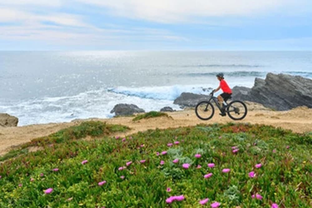 Safety Tips and Road Conditions for Cycling from Porto to Lisbon