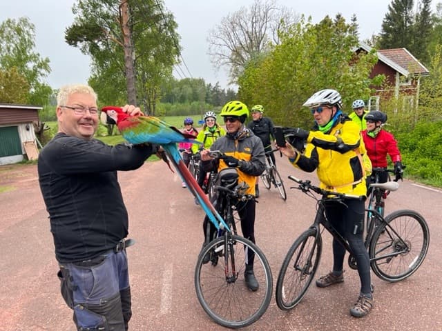 Prague to Budapest via Vienna and Bratislava Cycling Tour